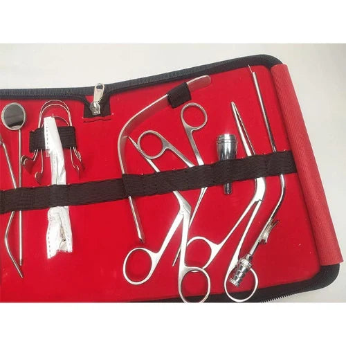 ENT Instrument Kit Set of 12 Stainless Steel Instruments for Examination