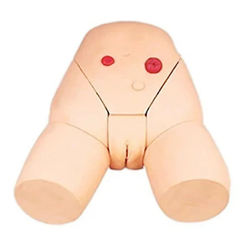 Female Catheterization Model with Urethral Resistance