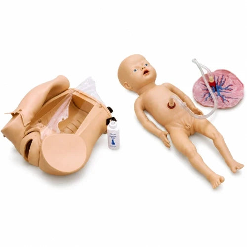 Birth Simulator with Episiotomy Repair Attachments