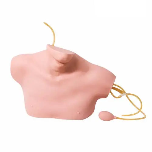 Central Venus Trainer for Cannulation Practice