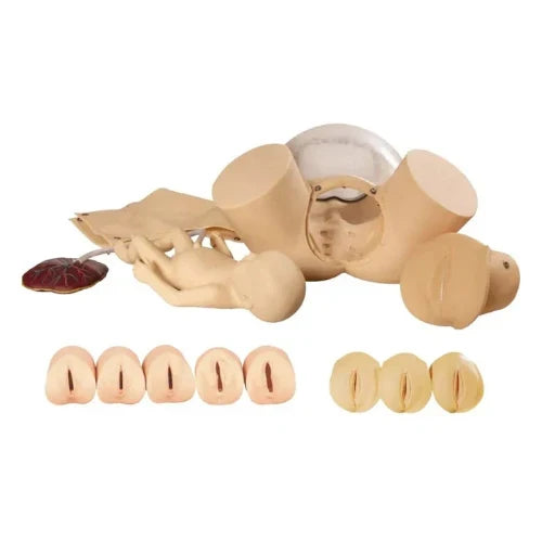 Child Birth Training Simulator for Delivery Practice