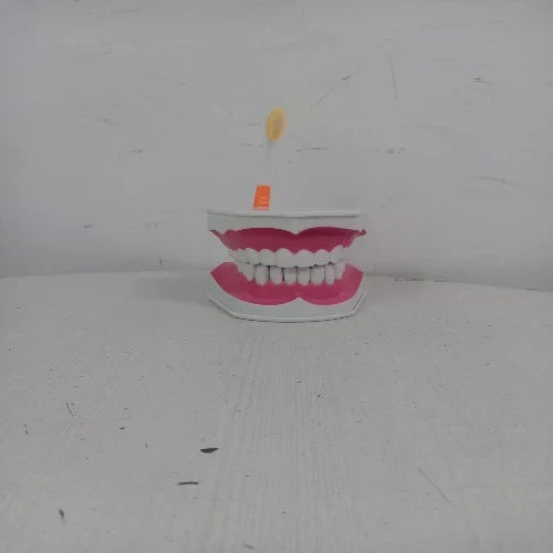 Dental Care Model for Patient Education and Teaching