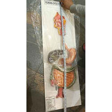 Natural Digestive System Model for Anatomy Teaching