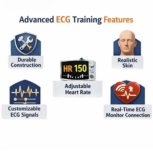 ECG Training Stimulator for Basic ECG Course