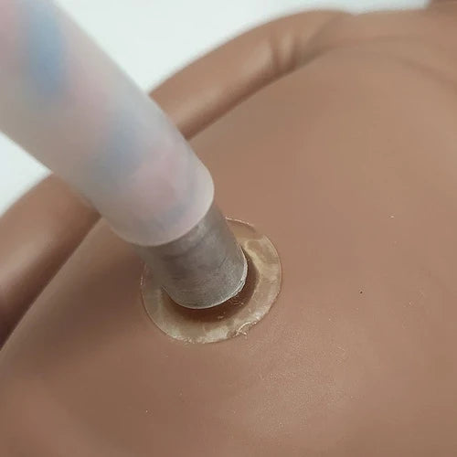 Educational New Born Model with Placenta and Cord