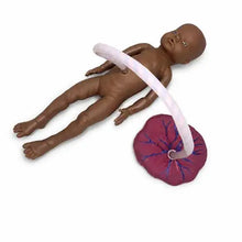 Educational New Born Model with Placenta and Cord