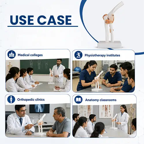 Human Elbow Joint Model with Ligaments for Teaching