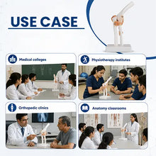 Human Elbow Joint Model with Ligaments for Teaching