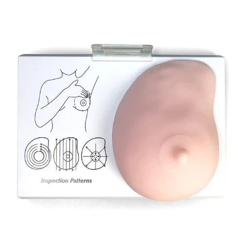 Human Breast Cancer Self-Exam Model with Embedded Lumps