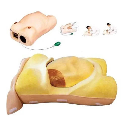Maternity Examination Model for Abdominal Palpation