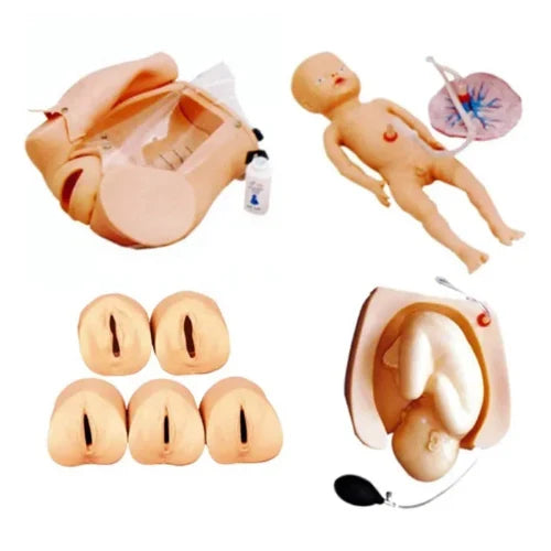 Abdominal Palpation & Delivery Mechanism Simulator