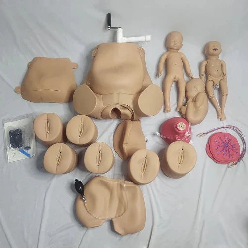 Abdominal Palpation & Delivery Mechanism Simulator