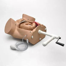 Abdominal Palpation & Delivery Mechanism Simulator