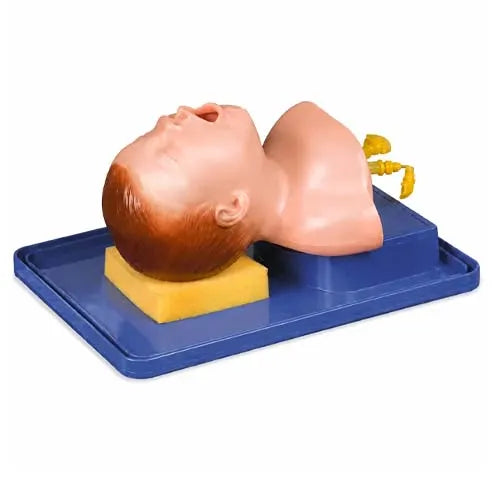 Neonate Intubation Training Model for Oral & Nasal Use