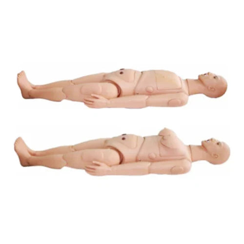 Advanced Nursing Manikin with Organs for Training
