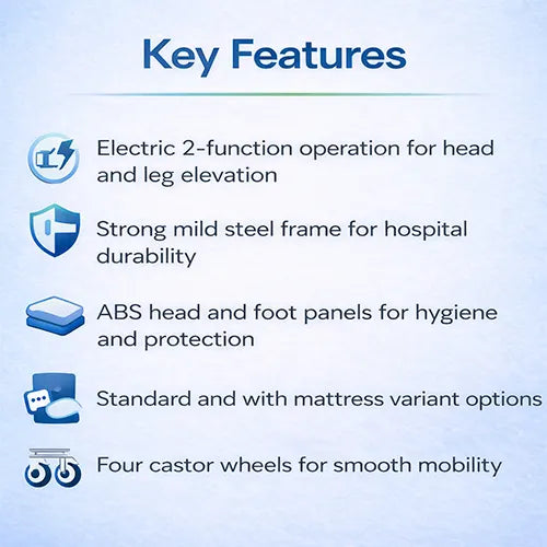 Hospital Adjustable Bed | Electric Fowler Bed 2 Function