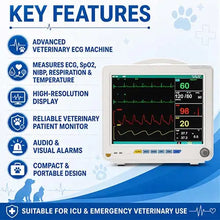 5 Para Veterinary ECG Monitor for Animal ICU Use